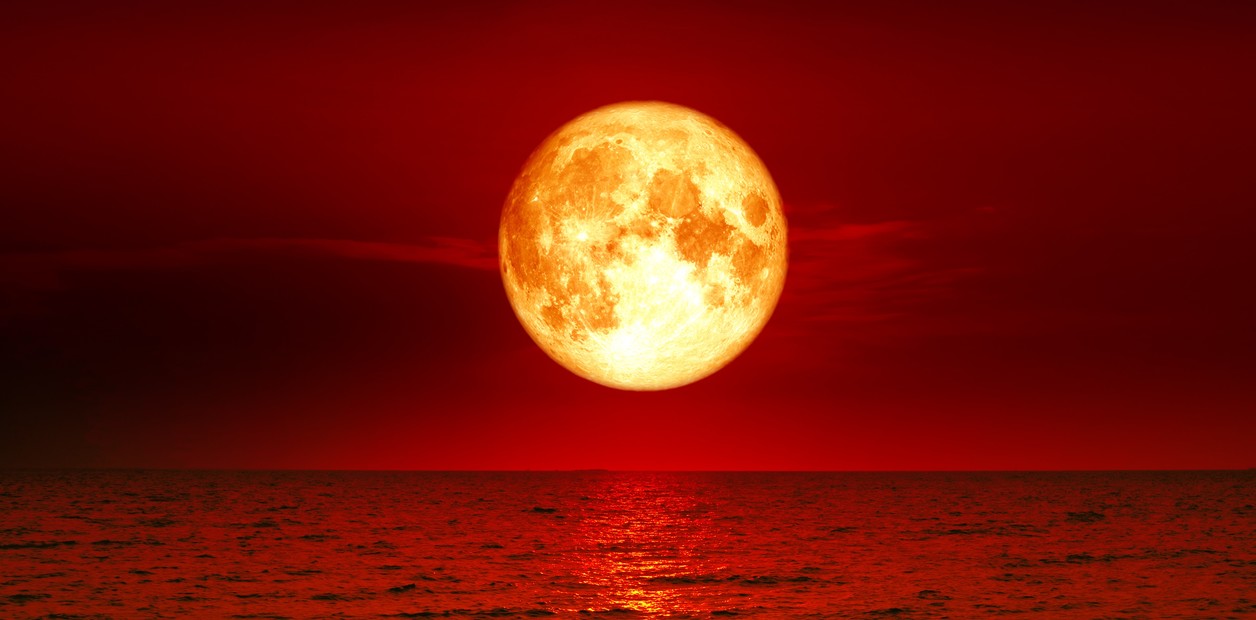 Lune De Sang Scan Vf Lecture En Ligne palasiet.com